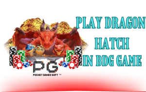 dragon hatch