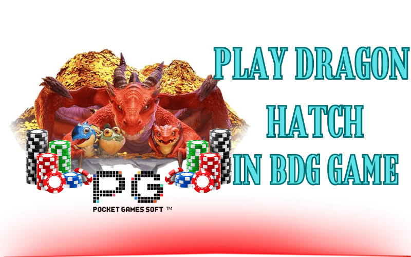 dragon hatch